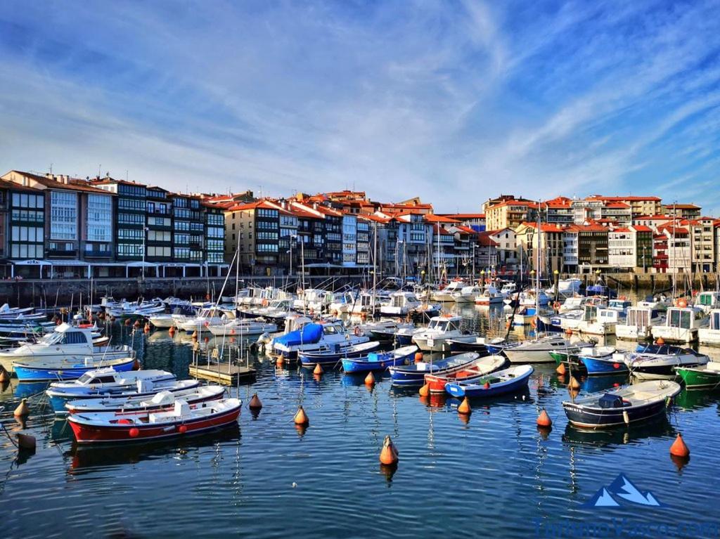 Coqueto Apartamento En El Casco Viejo Lekeitio Esterno foto